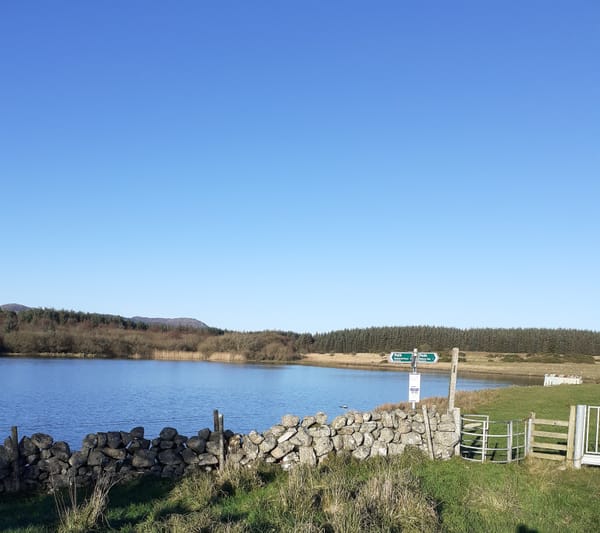 Walking Galloway in December