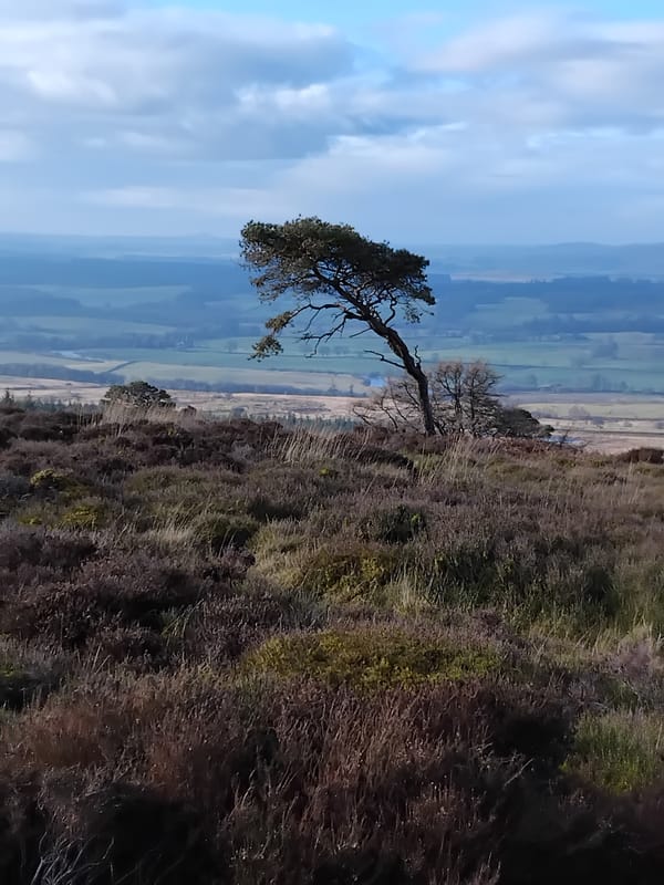 Adventures in Galloway and Yorkshire